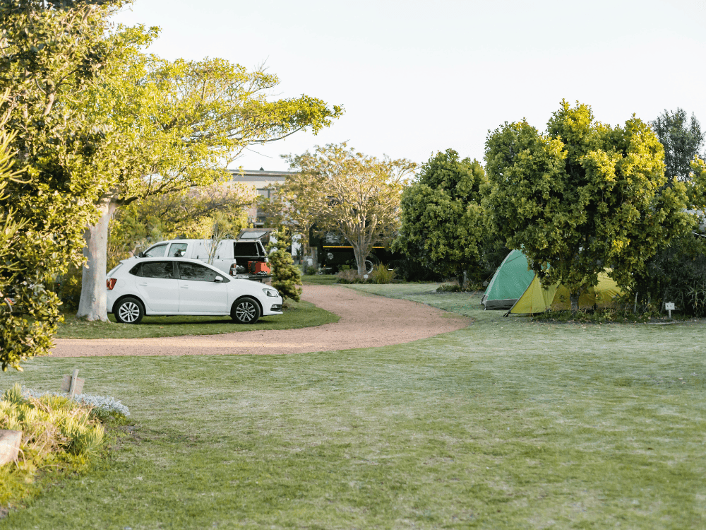 オートキャンプ場の画像
