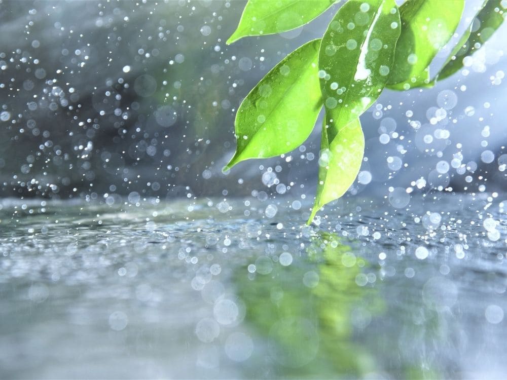 中止する目安の画像