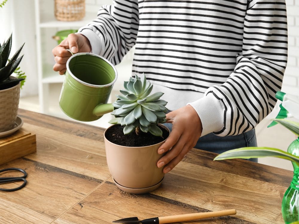 初心者が失敗しやすいポイントの画像