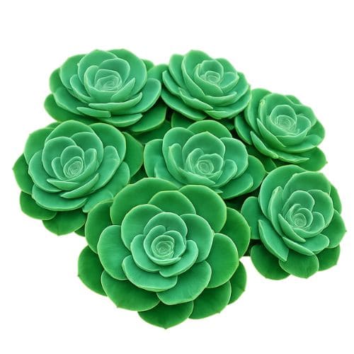 エケベリア・七福神の画像