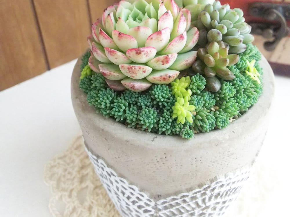 可愛い寄せ植えの画像