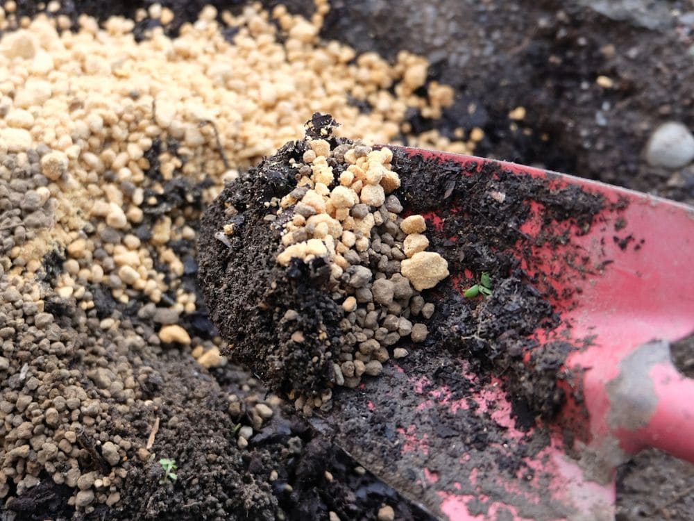 寄せ植えの土の画像