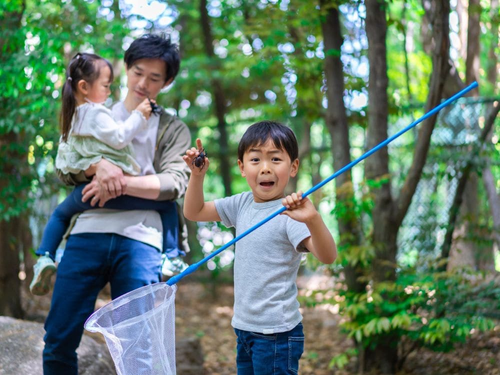 虫取りを楽しむ子供の画像